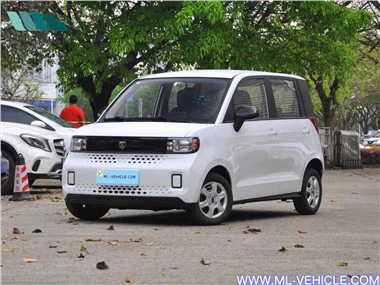 Baizhi Big Bear Electric Vehicle 15kwh 175KW EV SAMOCHODY