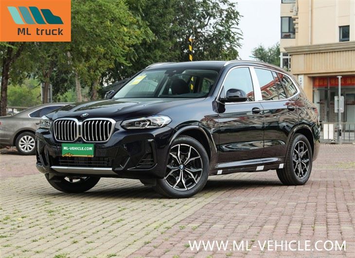 SUV BMW X3 XDrive 25i 30i