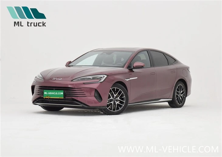 Uszczelnienie BYD DM-i