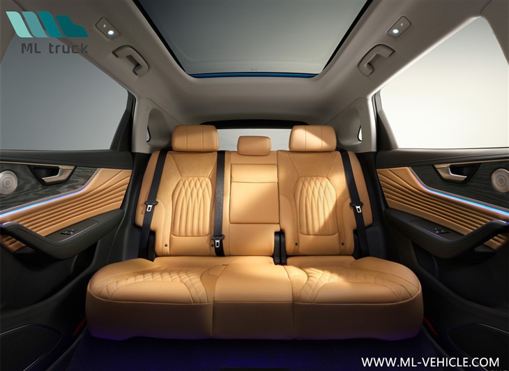 HongQi HS5