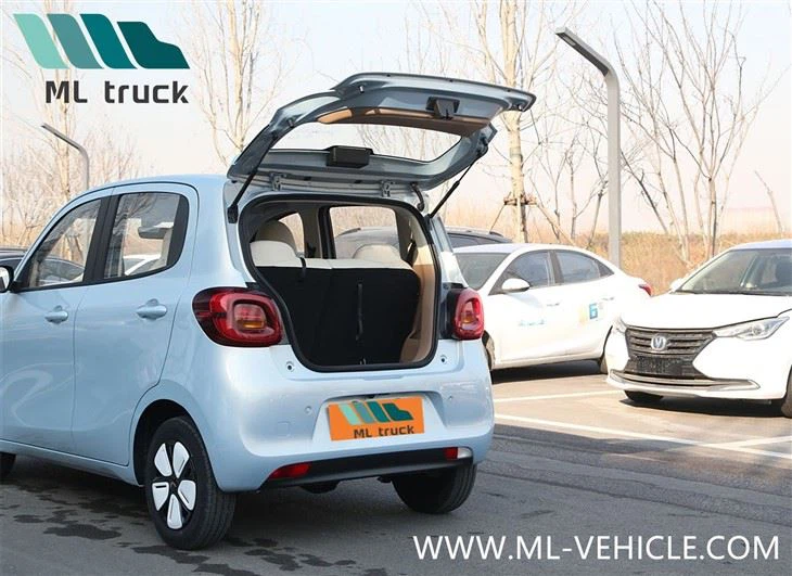 2025 WuLing MiNi EV