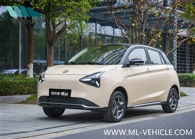 2024 EvHouse YUE 01 Mini EV