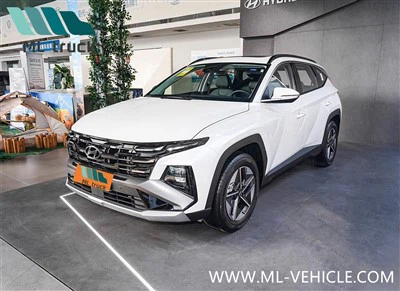 SUV Hyundai Tucson L z 2025 roku